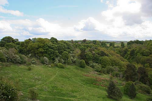 The view looking south