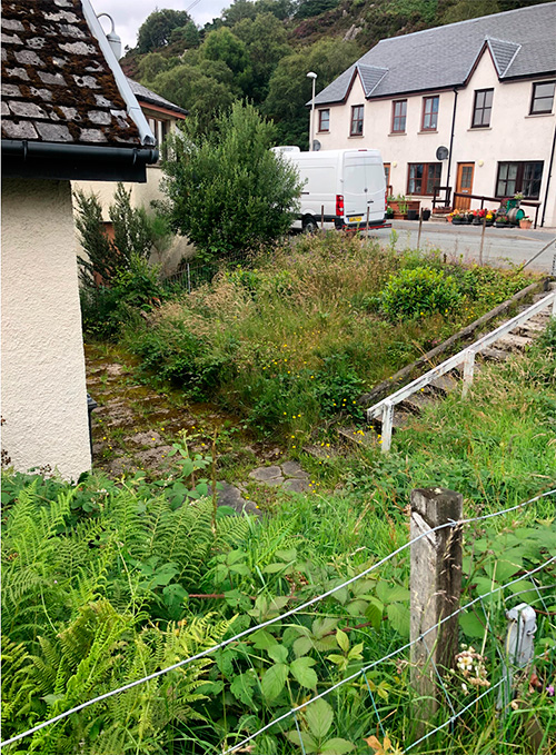 Garden at the Lodge before clearing