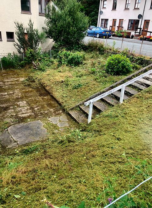 The newly cleared garden