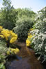 A Burn On Skye in late Spring