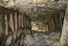 Inside A Broch